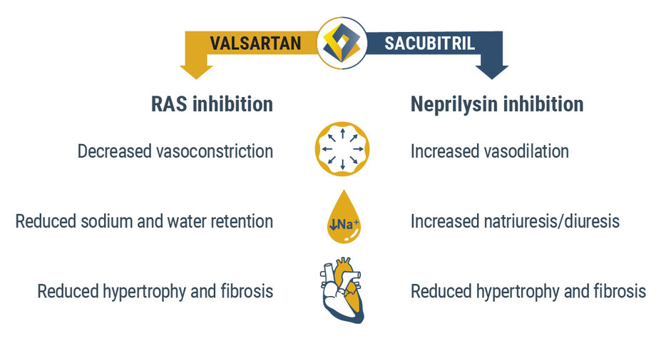 Graphic showing the dual mechanism of action of Entresto. Valsartan, RAS inhibition: decreased vasoconstriction, reduced sodium and water retention, and reduced hypertrophy and fibrosis. Sacubitril, Neprilysin inhibition: increased vasodilation, increased natriuresis/diuresis, reduced hypertrophy and fibrosis
