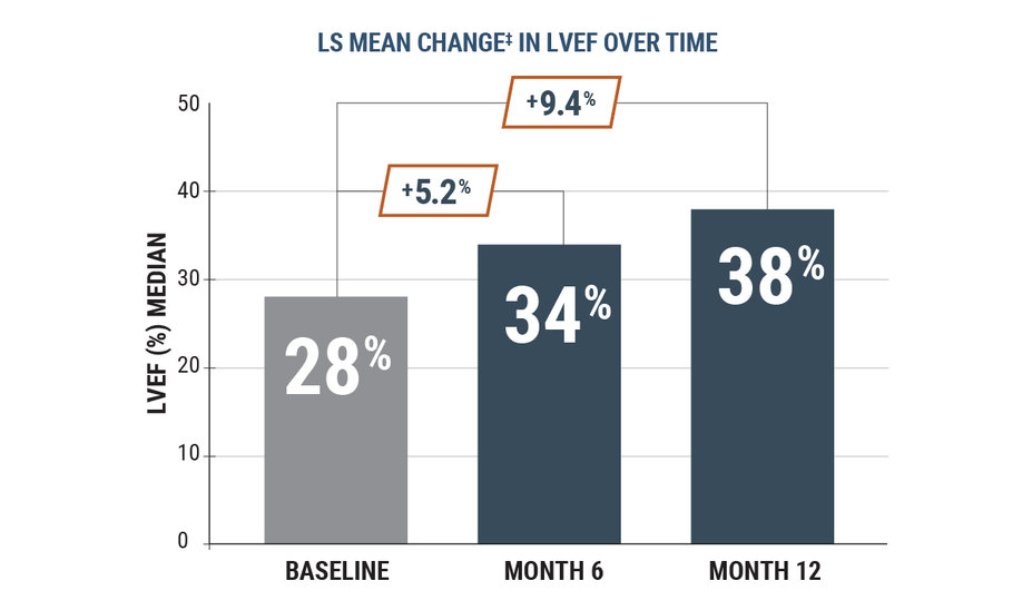 Bar chart showing the LS mean change‡ in LVEF over time, measured at baseline, month 6, and month 12.