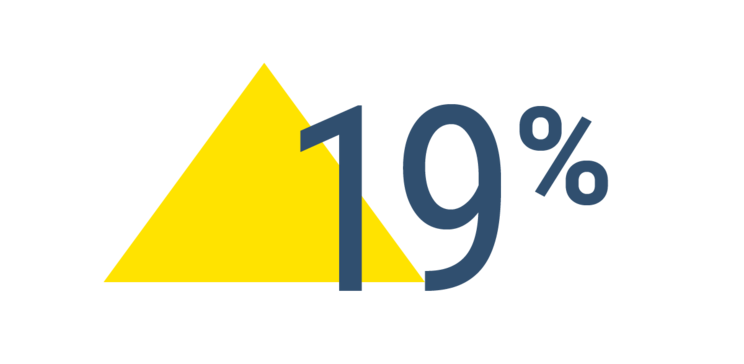 19%