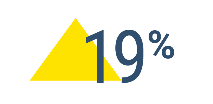 19%
